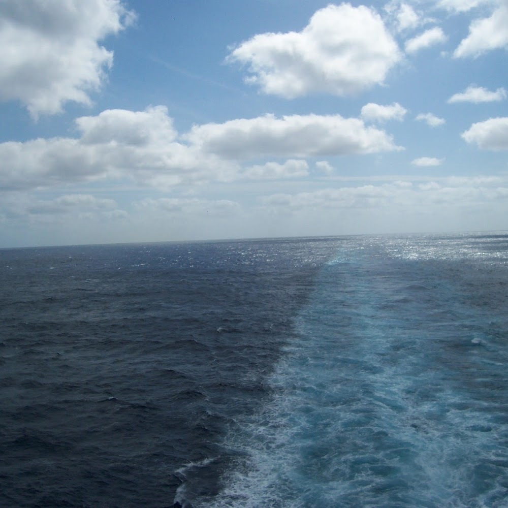 Meet your Posher, Honor